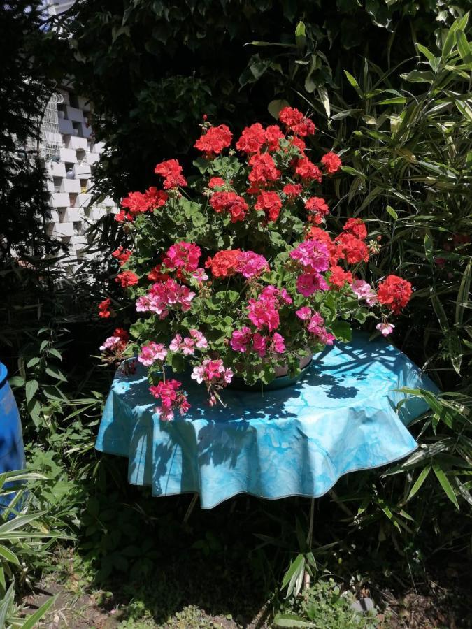 Ferienwohnung Roth Am Naturschutzgebiet Bodensee Eriskircher Ried מראה חיצוני תמונה